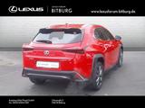 Lexus UX 300h F-Sport Design 15 Jahre Relax Garantie - Lexus UX Gebrauchtwagen