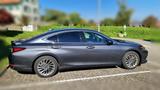 Lexus ES 300 300h Luxury Line HUD, Matrix-Licht, CVD - graue Lexus ES 300