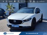Mazda CX-30 X Selection Individual Headup, LED, Rückfa - Mazda CX-30 Gebrauchtwagen