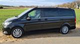 Mercedes-Benz V 250 d Aut. EXCLUSIVE lang AHK Pano Leder - Mercedes-Benz V-Klasse Gebrauchtwagen in Bielefeld