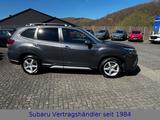 Subaru Forester Comfort - Subaru Forester Comfort mit Benzin-Antrieb
