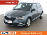 Skoda Fabia 1.0 TSI Style*PDC*SHZ*KLIMA*TEMPO*GARANTIE