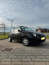 Volkswagen VW Lupo OpenAir Faltdach College 1.0 MPI r... - Volkswagen Lupo College mit Benzin-Antrieb