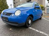 Volkswagen Lupo 1.0 mit Tüv - Volkswagen Lupo in Kassel