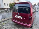 Volkswagen VW Caddy Highline Caddy KO High 96 TSI AG7  - Volkswagen Caddy: 9k