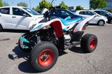 Aeon Cobra 300 TÜV Neu *gepflegter Zustand* - AEON COBRA