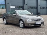 Mercedes-Benz CLK 280 Cabrio Elegance 7G-Tronic Xenon Navi PDC - Mercedes-Benz: Clk