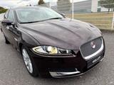 Jaguar XF 2.2 Diesel Autom./Navi+Camera/Leder/SD-Voll! - Jaguar XF in Köln