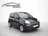 Fiat Panda 0.9 twinair* Klima - TÜV NEU * - Fiat Panda in Ludwigshafen