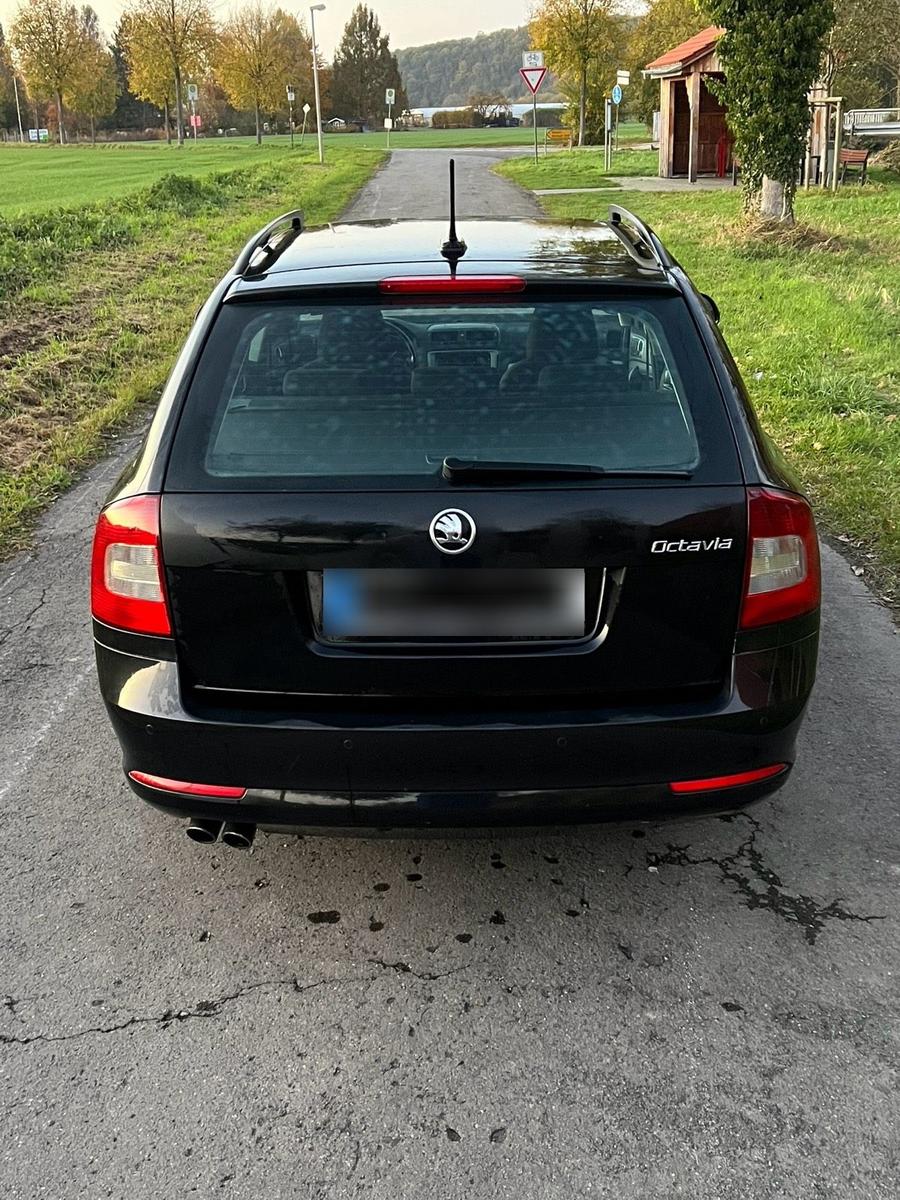 Skoda Octavia 2009 — rear view