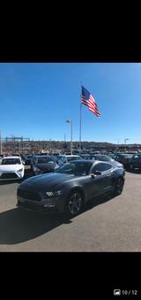 Ford Mustang V6 3,7 Liter - Ford Mustang: V6
