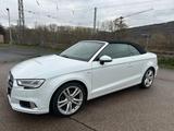 Audi A3 Cabriolet 35 TFSI S-line plus - Audi A3: Weiß, Cabrio