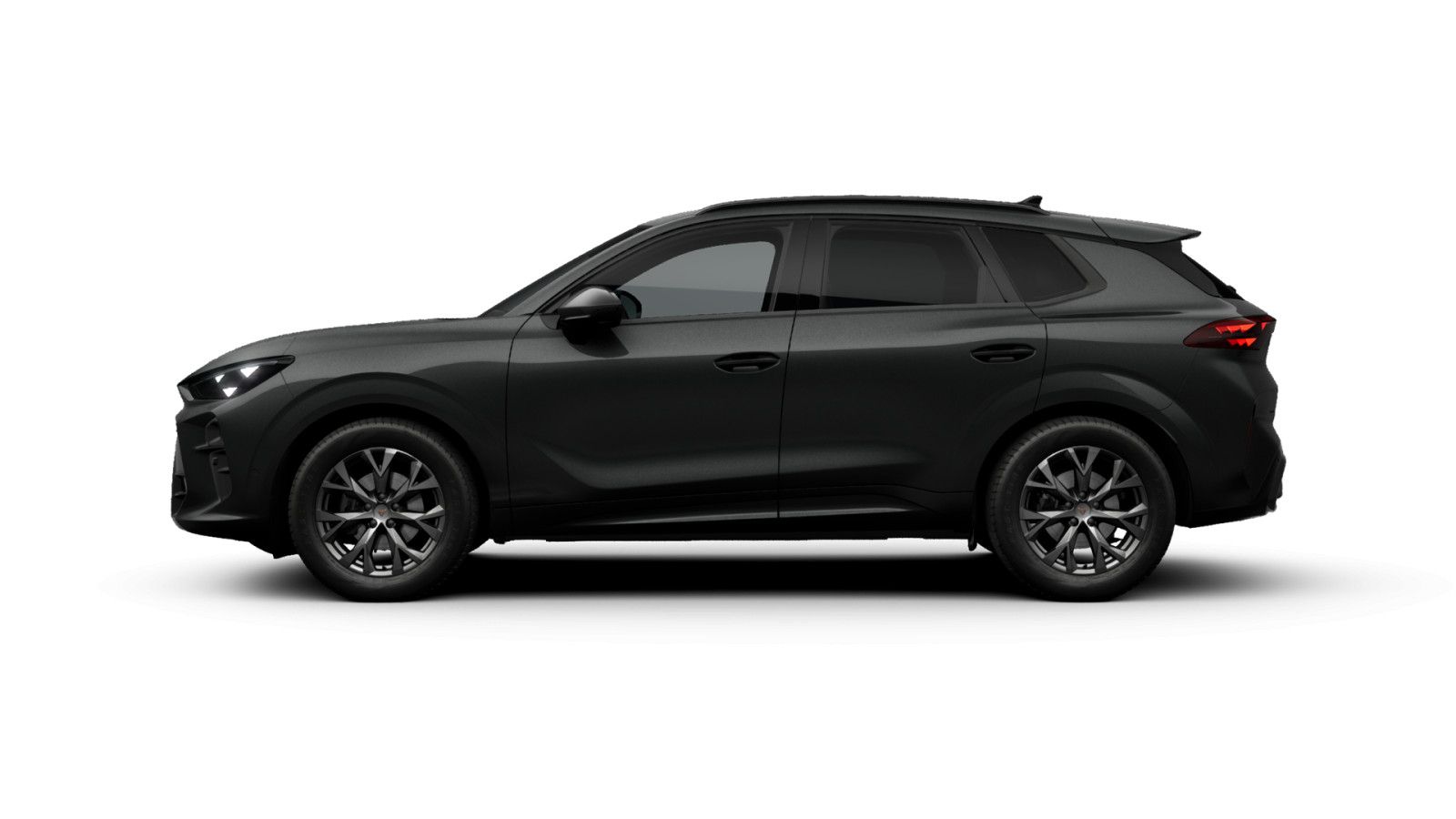 Cupra Terramar - Bild 6