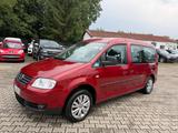 Volkswagen Caddy Maxi Life Team - Rampe - Volkswagen Caddy: Kombi, Maxi
