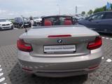BMW 220i Cabrio Sport Line HiFi Xenon RFK Tempomat - BMW: R