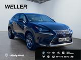 Lexus NX 300h Business Line *Bi-LED*Pano*RCam*SHZ*PDC* - Lexus NX-Serie in Leipzig