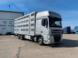 DAF FAR XF 105.510 automatic,ANIMAL TRANSPORTvin 417 - DAF XF105-510