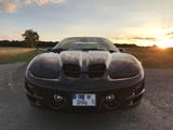 Pontiac Trans Am WS6 Targa mit 6-Gang Schaltung - Pontiac Gebrauchtwagen