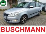 Skoda Fabia Combi Greenline*Klima*Alu*Allwetter*Sitzhz - Skoda Fabia: Combi Greenline