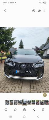 Lexus NX 300 h Sport Line Hybrid  - Lexus NX-Serie von privat