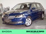 Skoda Fabia Combi 1.2 TSI Style Green tec SHZ NAVI AHK - Skoda Fabia: Combi Style