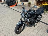 Suzuki Bandit 1200  - Angebote