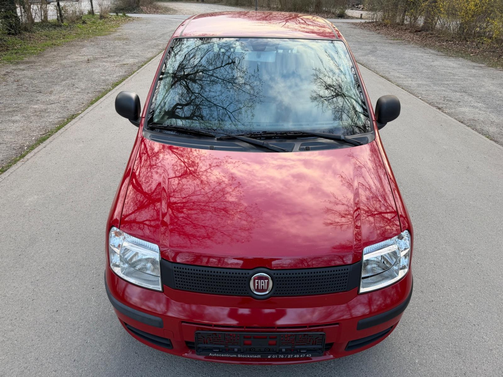 Fiat Panda 1.2 8V MyLive Klima TÜV/AU Neu