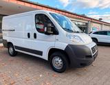 Fiat Ducato Kasten 28 115 1.Hd L1 H1 Kurz Flachdach - Fiat Ducato: 11