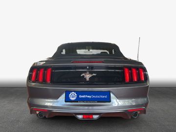 Ford Mustang - 5