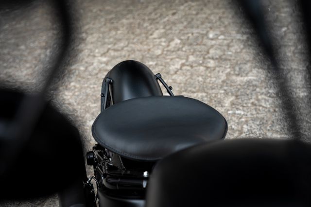 Fahrzeugabbildung Harley-Davidson SOFTAIL STANDARD FXST MY23  - HD KIEL UMBAU -
