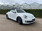 Volkswagen Beetle 1.2 TSI Cabrio, Teilleder, 19 Zoll, 8Fach - VW Beetle Gebrauchtwagen in Hamburg