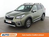 Subaru Forester 2.0 Comfort Aut.*LED*NAVI*CAM*AHK*ACC* - Subaru Forester in Frankfurt (Main)