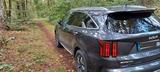 Kia Sorento 1.6 T-GDI Hybrid AWD Platinum Auto P... - Kia Sorento mit Benzin-Antrieb