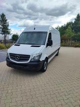 Mercedes-Benz Mercedes Benz Sprinter mit Sortimo Regalsy... - Mercedes-Benz Sprinter: Sortimo