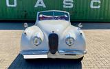 Jaguar XK 120 DHC  - aus 1953 mit Benzin-Antrieb: Cabrio