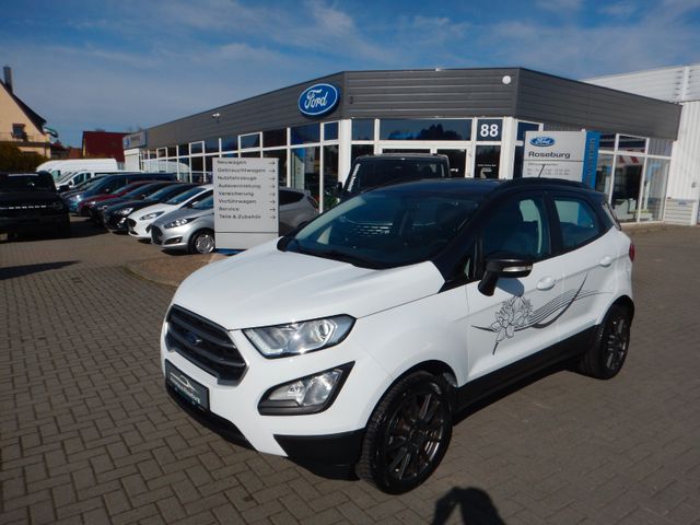 Ford EcoSport Cool & Connect Navi Kamera