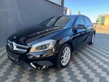 Mercedes-Benz A 250 4Matic Urban Navi Leder Bi-Xenon Memory - Mercedes-Benz A 250: Limousine
