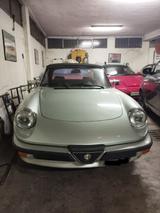 Alfa Romeo Spider DUETTO 1.6 - Alfa Romeo Gebrauchtwagen von 1985