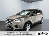 Ford Kuga Titanium 1.5 EcoBoost 4x4 Winterpaket - Ford Kuga: Titanium X