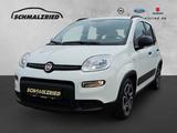 Fiat Panda City Life 1.0 Mild Hybrid DAB Berganfahras - Fiat Panda: 1.0