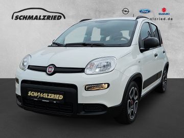 Bild Panda Fiat