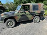 Mercedes-Benz 250GD Wolf - Mercedes-Benz G 250: Wolf
