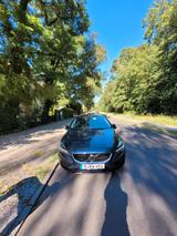 Volvo V40 T2 Momentum Momentum - Volvo V40 Limousine Momentum mit Benzin-Antrieb