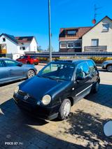 Volkswagen Lupo 1.0 College College - Volkswagen Lupo College mit Benzin-Antrieb