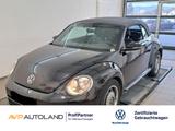 Volkswagen Beetle Cabriolet 1.6 TDI DESIGN | PDC | KLIMA | - Volkswagen Beetle: TDI