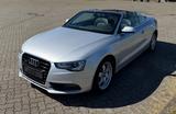Audi   Super A5 Cabriolet 3 ltr. TDI. quattro - Audi Cabriolet: Automatik