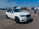 BMW X5 xDrive40d - V6- Vollausst. Top gepflegt Dashc - BMW X5: Weiß