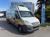 Iveco Daily 35C12 Carrier - Offers
