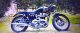 Triumph Bonneville T100 - TRIUMPH BONNEVILLE T100