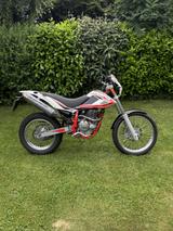 Beta Alp 4.0 350cc Enduro - BETA ALP 4